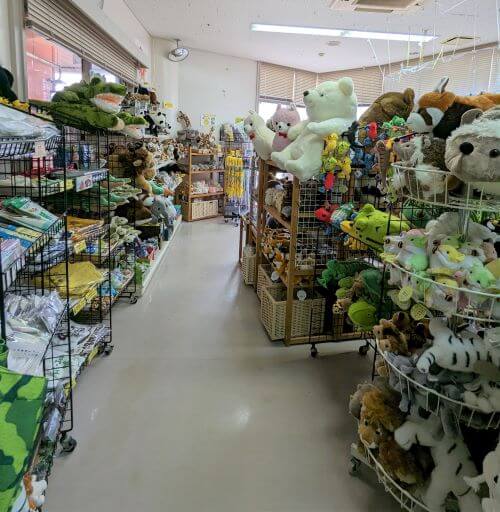 沖縄県沖縄市胡屋にある動物園「こどもの国沖縄ズージアム」のメインゲート入口にある売店の中の様子。お土産が販売されている。